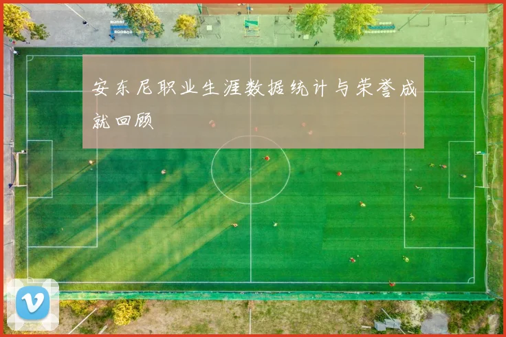 安东尼职业生涯数据统计与荣誉成就回顾